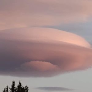 Meet your Posher, Stephen